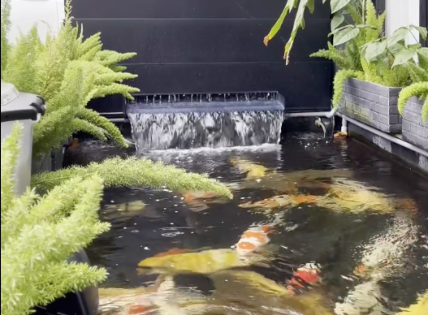 Aquascape & Estetika